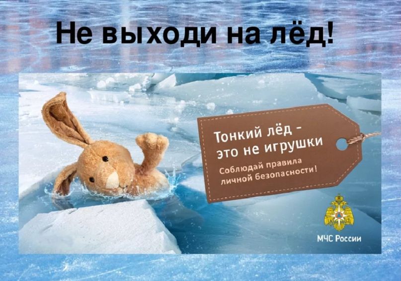 photo 2022 04 15 07 45 01